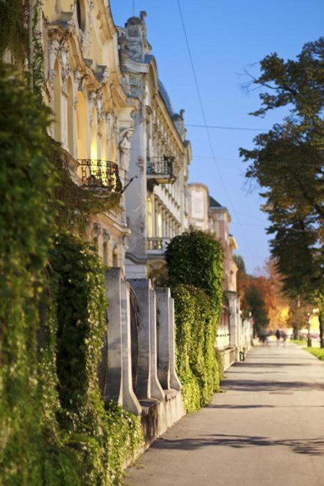Konzul -Top Apartment, Strict Center, Parking Osijek Exteriör bild